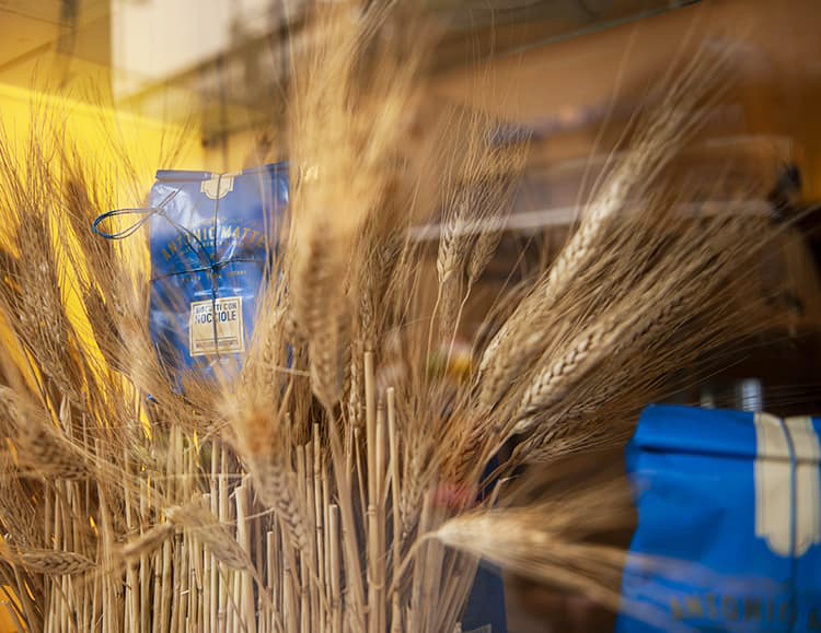 The mills of Prato and their ancient grains